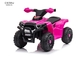 Children'S Beach Buggy With Reverse Gear And Electric Brakes