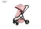 Pushchair/Stroller (Birth to 3 Years Approx, 0-15 kg), Lightweight with Compact Fold