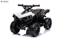6V Kids Electric Quad ATV 4 Wheels Ride On Toy for Toddlers Forward