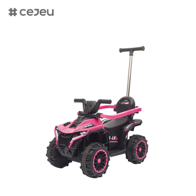 FRY-868-1 Push Handle Kids Ride On Car With Canopy,Safety Guard,Early Education,Kids ATV,Electric Kids Ride On Car