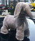 EN62115 Kids Ride On Toy Car 8KG Soft Elephant Toy Car 48 Months