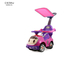 3C Childs Push Along Car Bebe Sound Doll Push Along Car With Canopy