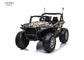 2 Seater Kids Electric UTV Off Road Ride On Car Remote Control