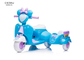 Tricycle Kids Riding Motorcycles 6V Chargeable Battery Front Heart Light
