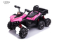 12V Kids Quad Ride On ATV Forward Reverse Functions For Toddlers