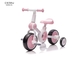 Male And Female Baby Tricycles Four-In-One 30KGS Loading
