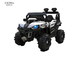 Kids Ride On Truck 12V Battery Powered Electric 2.4G Remote Control